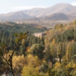 die Schöne und der Zahnstocher