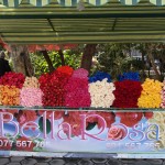 Blumen in Yerevan